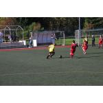 780x52005.ST  BSG-Schmiedeberg 01.10 (91).JPG